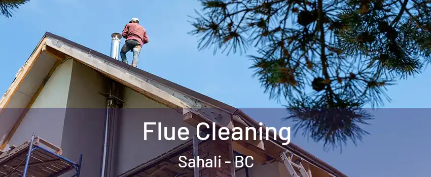  Flue Cleaning Sahali - BC