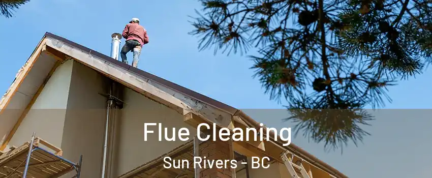  Flue Cleaning Sun Rivers - BC