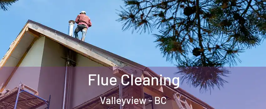  Flue Cleaning Valleyview - BC