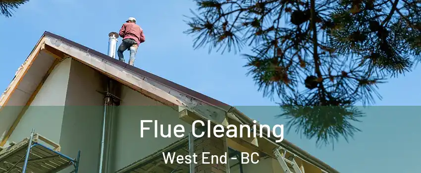  Flue Cleaning West End - BC