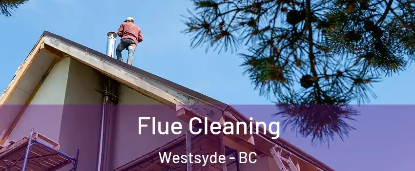  Flue Cleaning Westsyde - BC