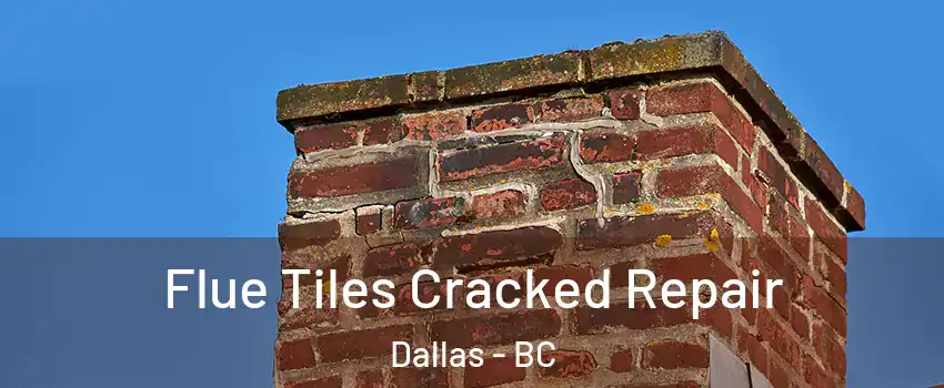  Flue Tiles Cracked Repair Dallas - BC