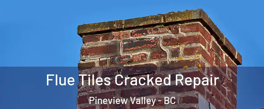  Flue Tiles Cracked Repair Pineview Valley - BC
