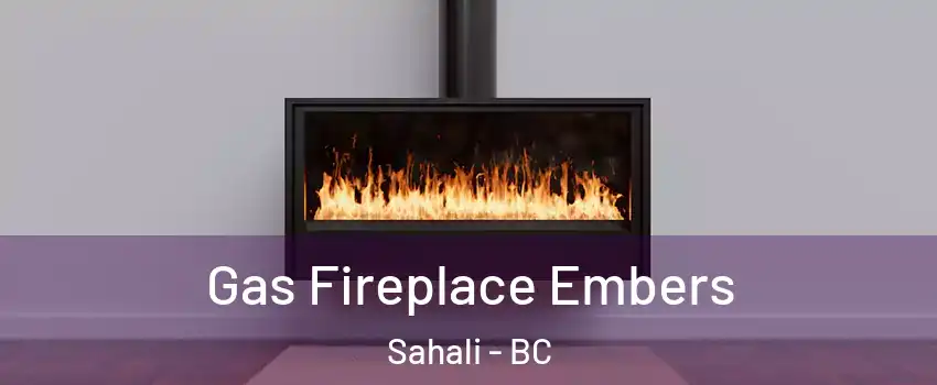  Gas Fireplace Embers Sahali - BC