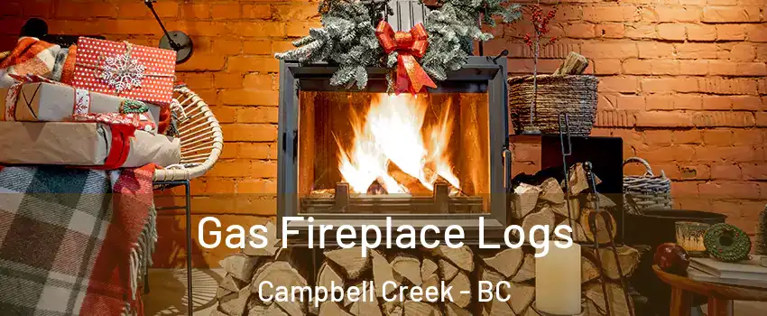  Gas Fireplace Logs Campbell Creek - BC