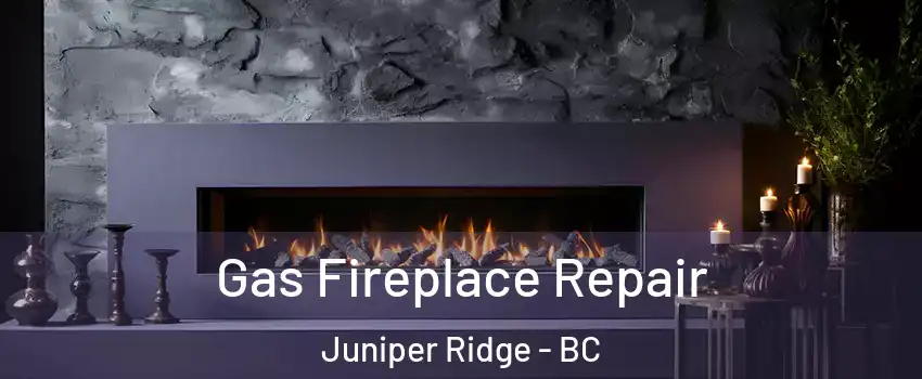  Gas Fireplace Repair Juniper Ridge - BC
