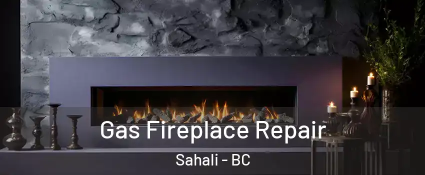  Gas Fireplace Repair Sahali - BC