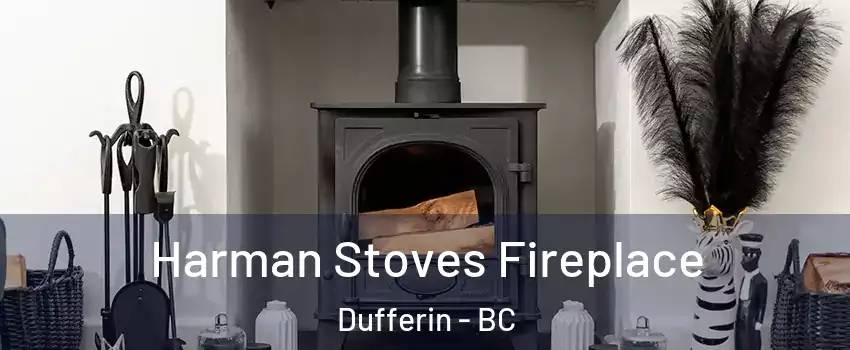  Harman Stoves Fireplace Dufferin - BC