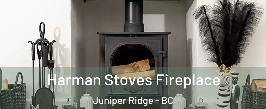  Harman Stoves Fireplace Juniper Ridge - BC