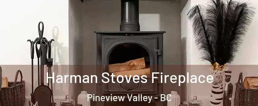  Harman Stoves Fireplace Pineview Valley - BC