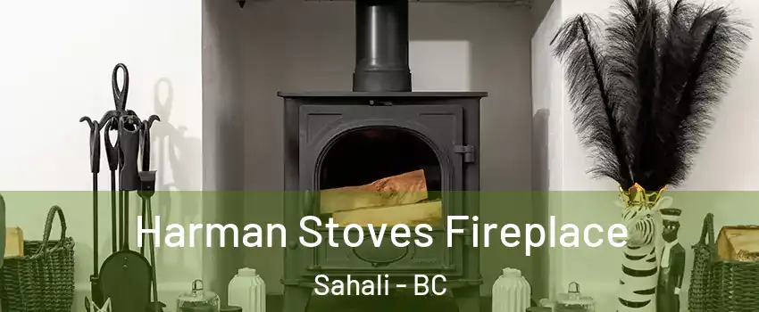  Harman Stoves Fireplace Sahali - BC