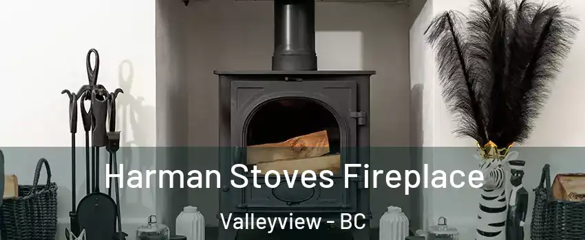  Harman Stoves Fireplace Valleyview - BC