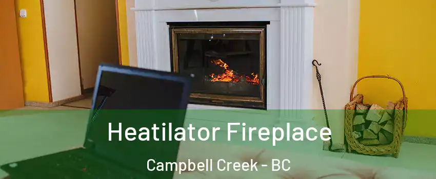  Heatilator Fireplace Campbell Creek - BC