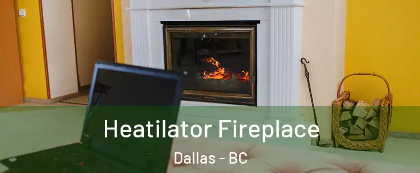  Heatilator Fireplace Dallas - BC