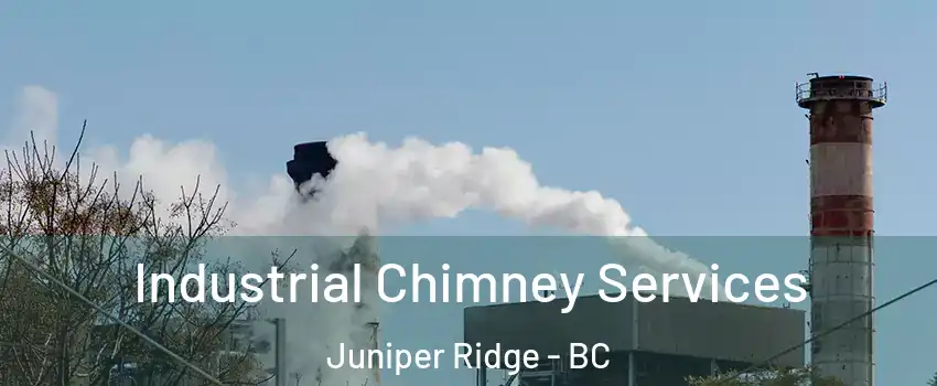  Industrial Chimney Services Juniper Ridge - BC