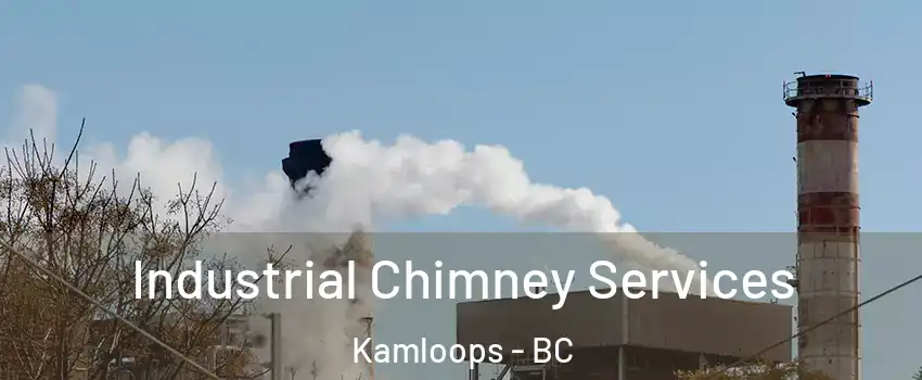  Industrial Chimney Services Kamloops - BC