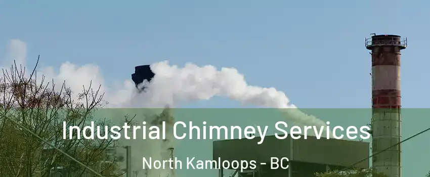  Industrial Chimney Services North Kamloops - BC