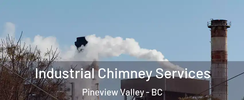  Industrial Chimney Services Pineview Valley - BC