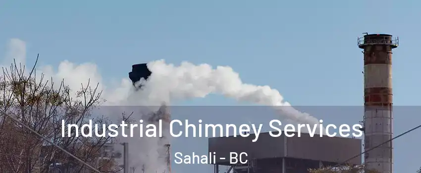  Industrial Chimney Services Sahali - BC