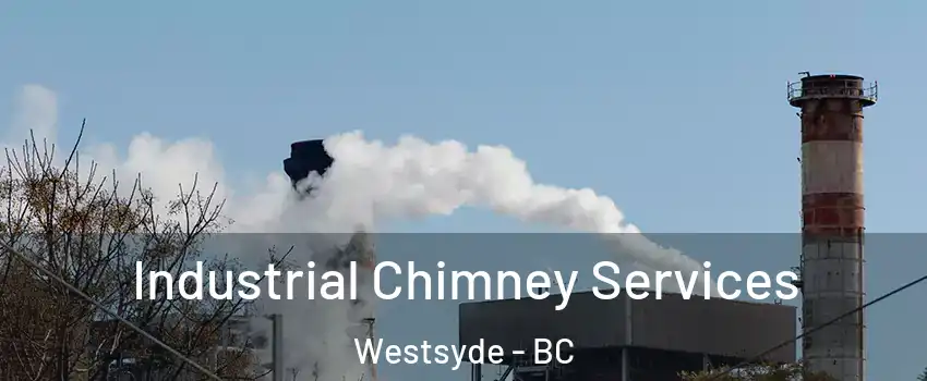  Industrial Chimney Services Westsyde - BC