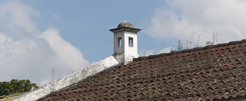 Wind-Resistant Chimney Caps Installation and Repair Services in Kamloops, British Columbia