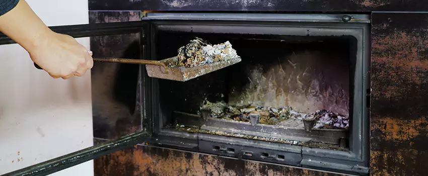 Wood Burning Chimney Odor Removal in Kamloops, British Columbia