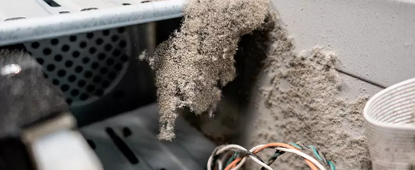 Clogged Dryer Vent Lint Cleaning in Kamloops, British Columbia