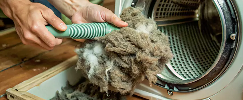 Best Dryer Lint Removal Company in Kamloops, British Columbia