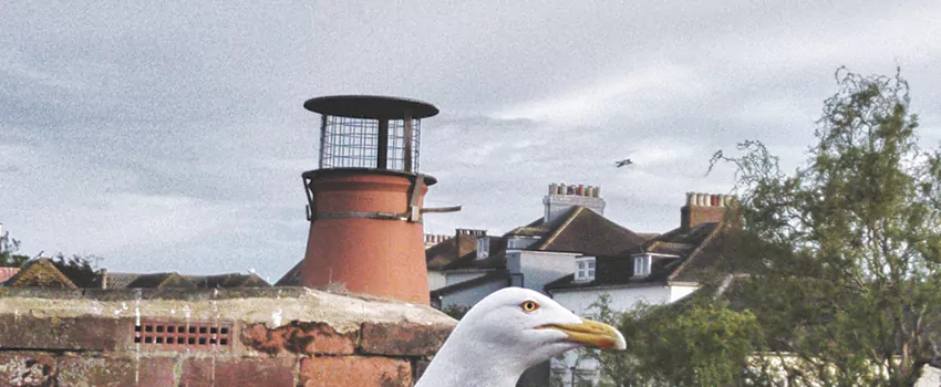Chimney Cap Bird Guard Repair in Kamloops, British Columbia
