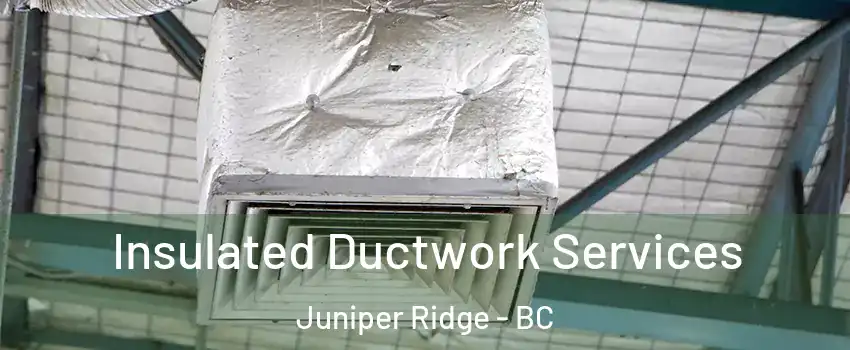  Insulated Ductwork Services Juniper Ridge - BC