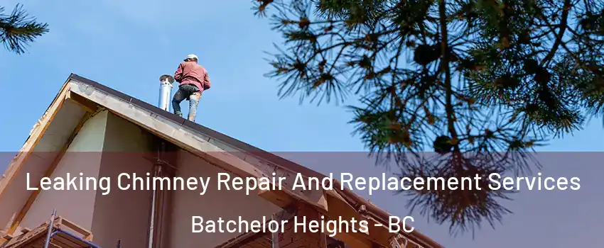  Leaking Chimney Repair And Replacement Services Batchelor Heights - BC