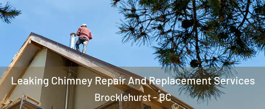  Leaking Chimney Repair And Replacement Services Brocklehurst - BC