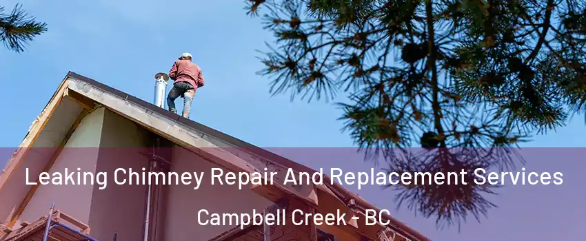  Leaking Chimney Repair And Replacement Services Campbell Creek - BC