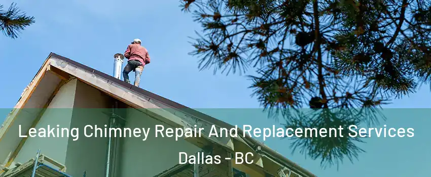  Leaking Chimney Repair And Replacement Services Dallas - BC