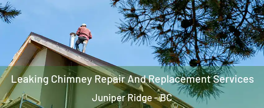  Leaking Chimney Repair And Replacement Services Juniper Ridge - BC