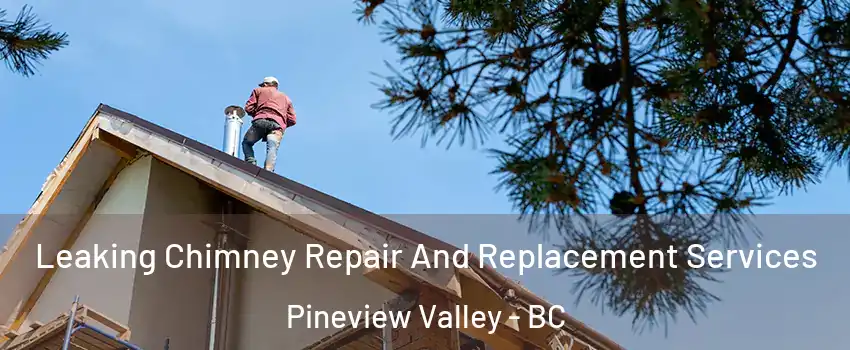  Leaking Chimney Repair And Replacement Services Pineview Valley - BC
