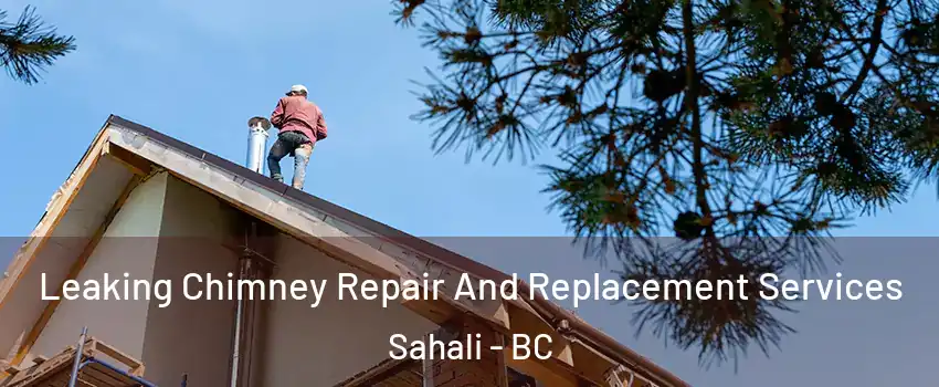  Leaking Chimney Repair And Replacement Services Sahali - BC