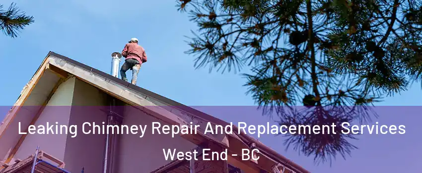  Leaking Chimney Repair And Replacement Services West End - BC