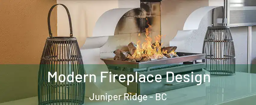  Modern Fireplace Design Juniper Ridge - BC