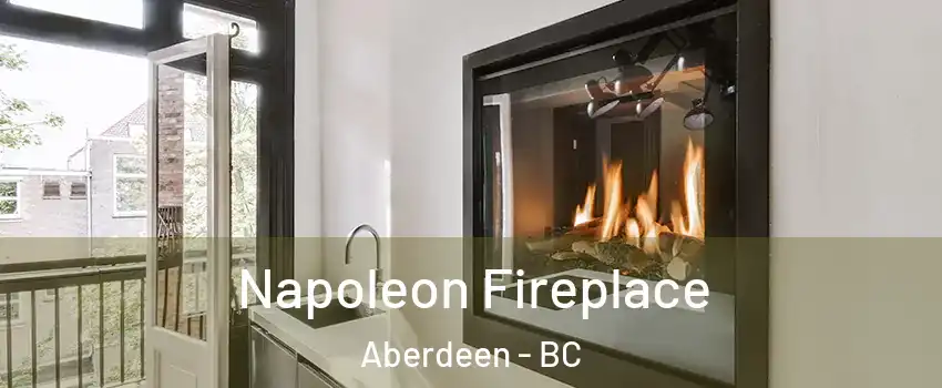  Napoleon Fireplace Aberdeen - BC
