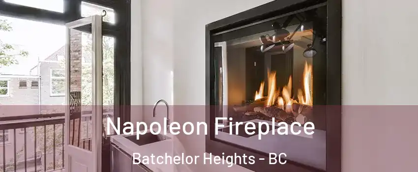  Napoleon Fireplace Batchelor Heights - BC