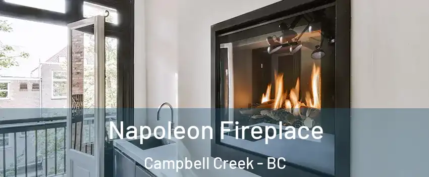  Napoleon Fireplace Campbell Creek - BC
