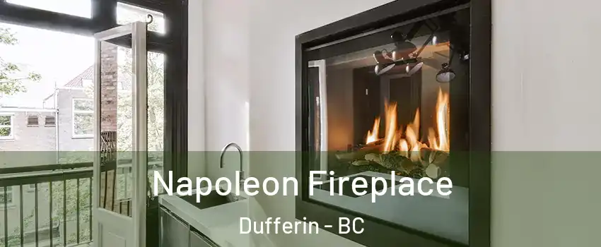 Napoleon Fireplace Dufferin - BC