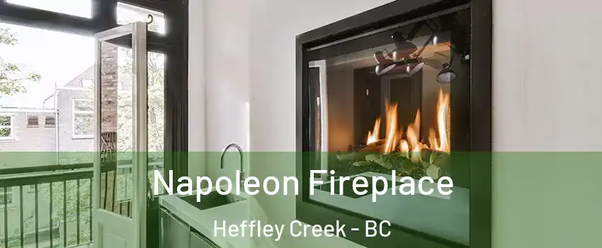  Napoleon Fireplace Heffley Creek - BC