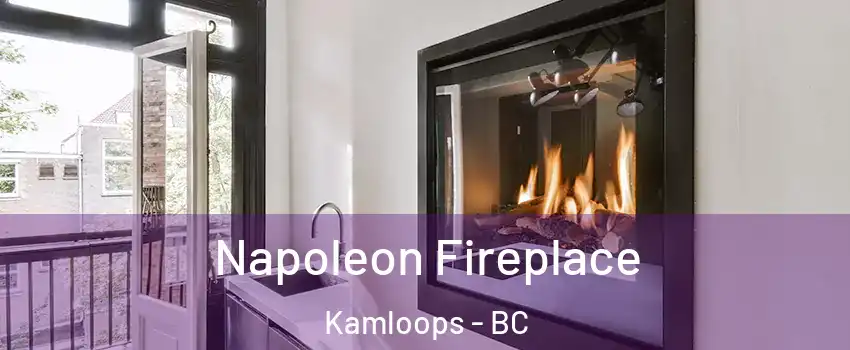  Napoleon Fireplace Kamloops - BC