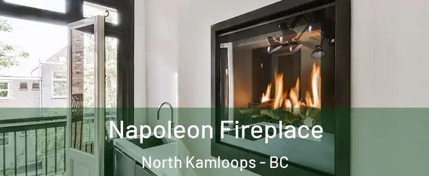  Napoleon Fireplace North Kamloops - BC