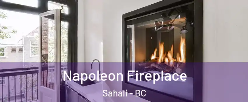  Napoleon Fireplace Sahali - BC