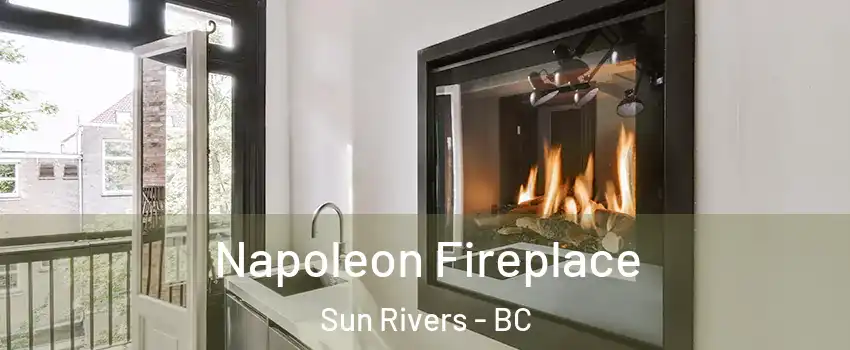  Napoleon Fireplace Sun Rivers - BC