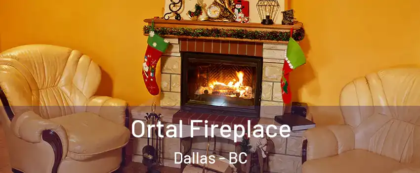 Ortal Fireplace Dallas - BC