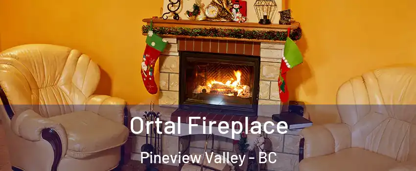 Ortal Fireplace Pineview Valley - BC
